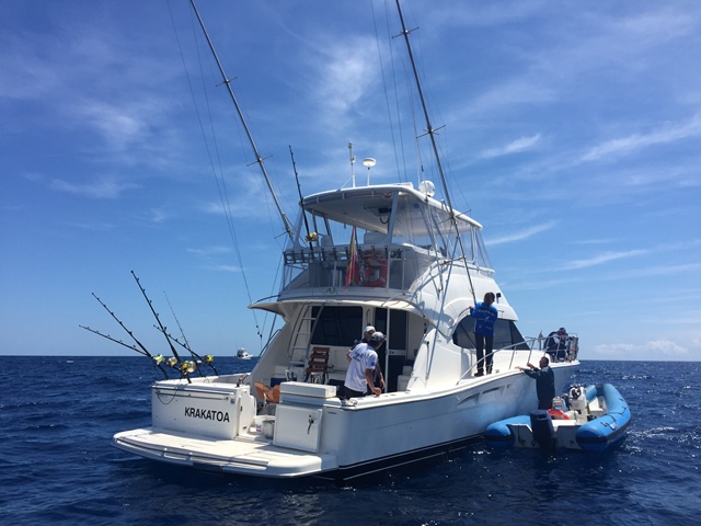 panorama náutico, Garmin Great Tuna Race