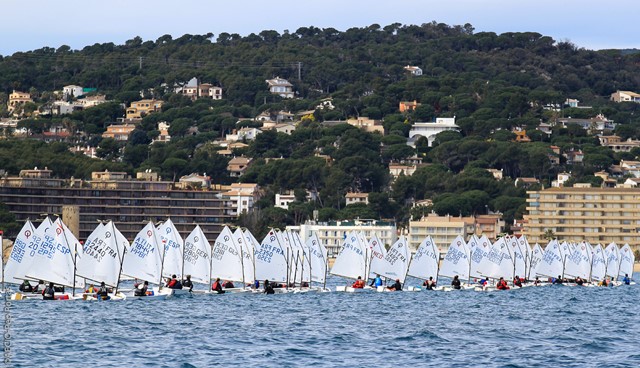 panorama náutico, Optimist Excellence Cup