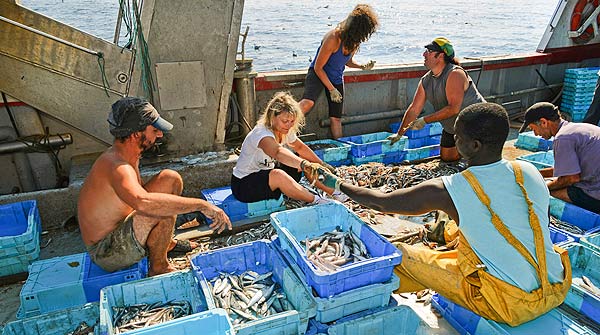 pesca turismo, Legislación Náutica, panorama náutico