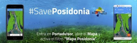 panorama náutico, SavePosidonia, Port Advisor