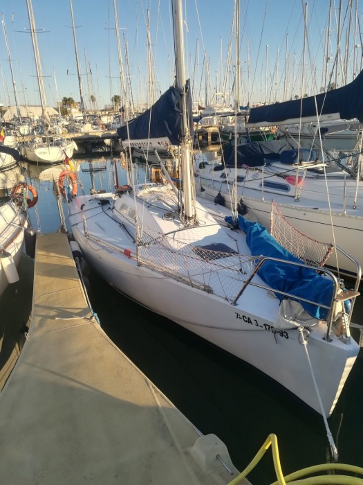BARRACUDA 25 - 2