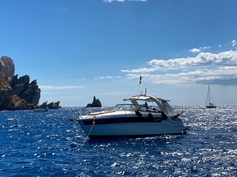 BAVARIA 35 SPORT - 2