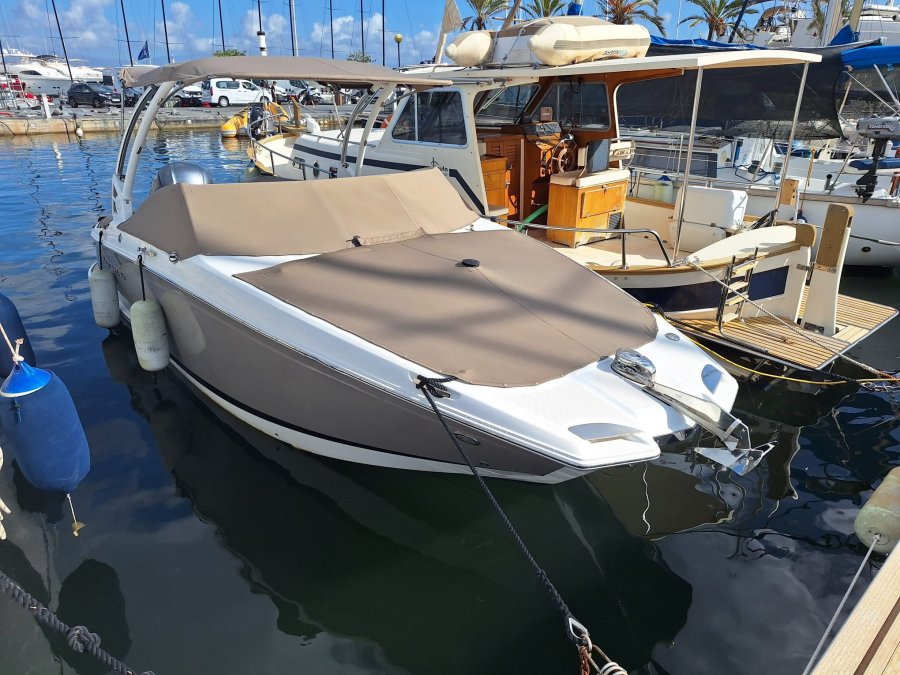 Cobalt 23