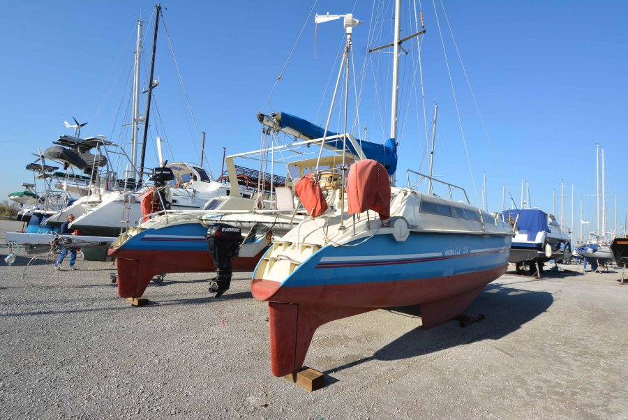 EDEL CAT 35 - 7