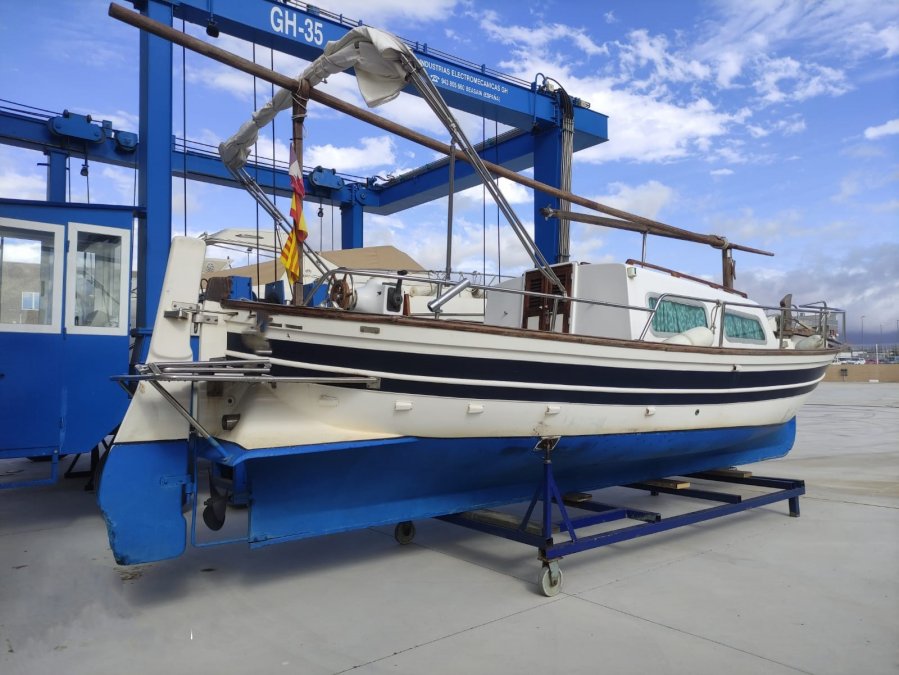 MAJONI 36 - 8
