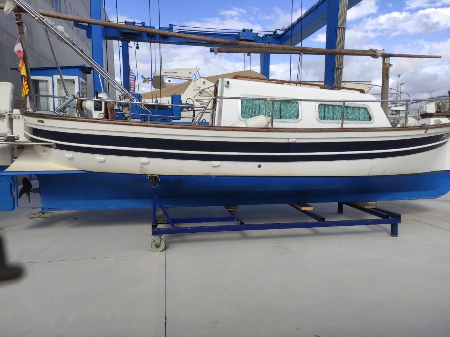 MAJONI 36 - 9