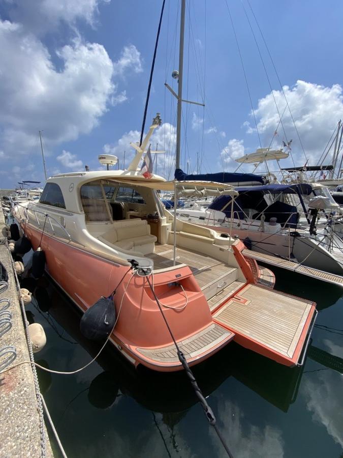 Mochi Dolphin 44