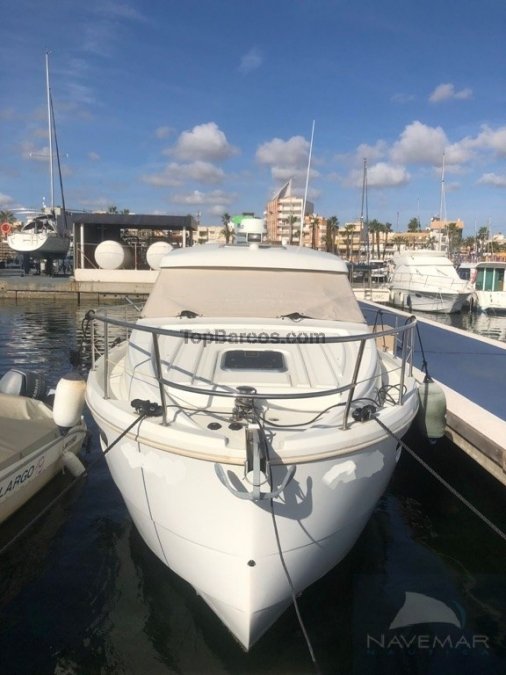 Rodman Spirit 31
