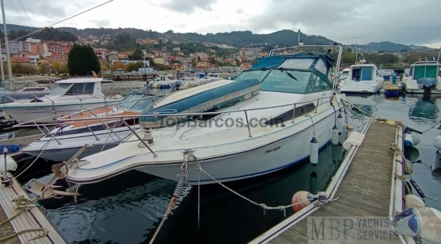 Sea Ray 250