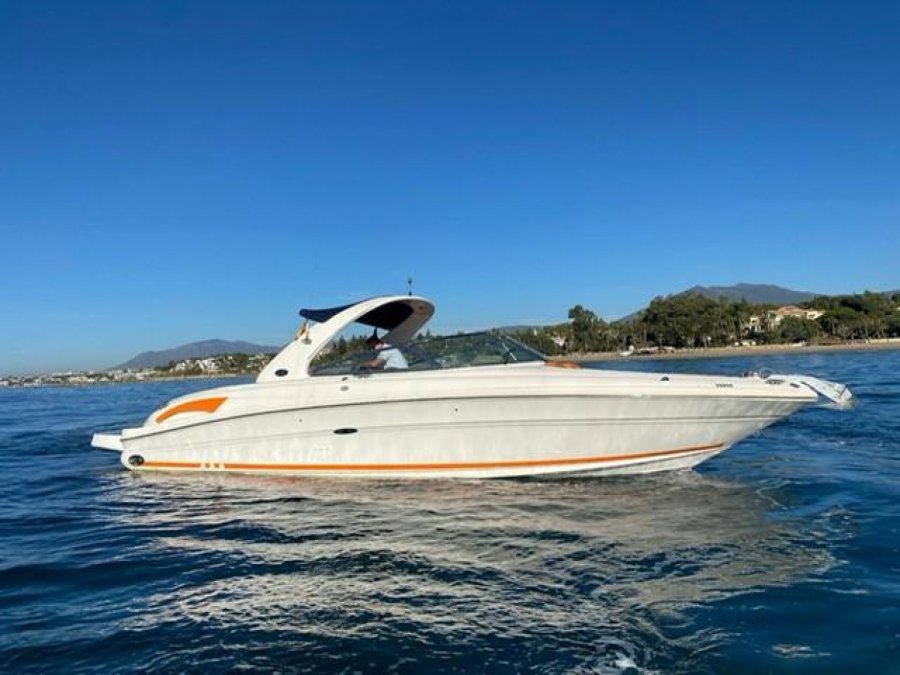 SEA RAY 290 - 1